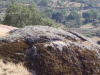 /album/galeria-de-fotos-castelo-bom/a101-2-jpg/